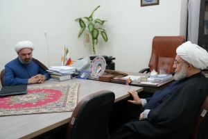 دیدار نماینده ولی فقیه در هلال احمر قم با آیت‌الله اراکی